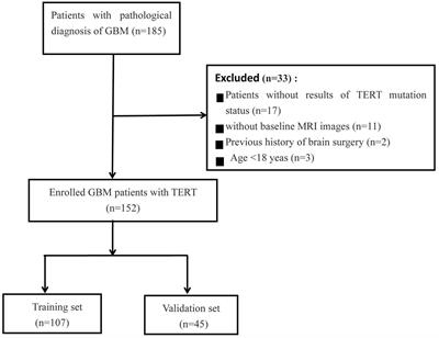 Multi-parameter MRI based radiomics nomogram for predicting telomerase reverse transcriptase promoter mutation and prognosis in glioblastoma